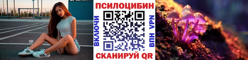 цена   Вязники  Псилоцибиновые грибы GOLDEN TEACHER 